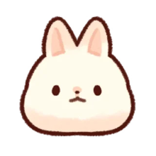 🐰