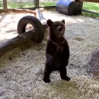 🤩