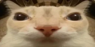 🫥
