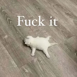 😭