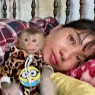 🐵