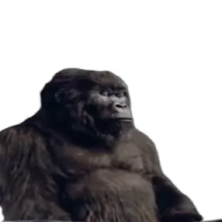 🦍