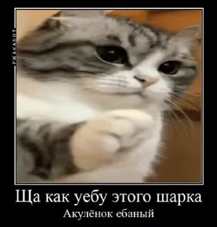 🤡