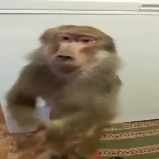 😮‍💨