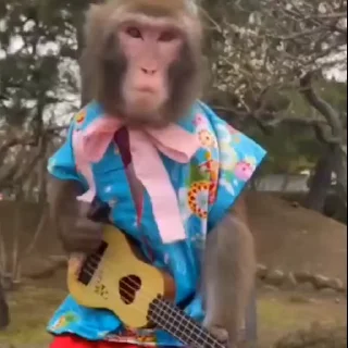 🎸