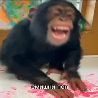 💫