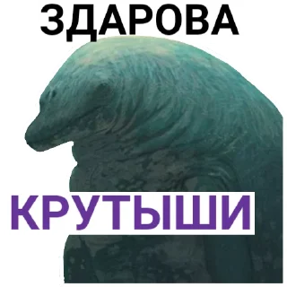 ✋
