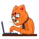 💻