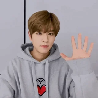 🐶