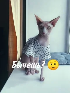 😡