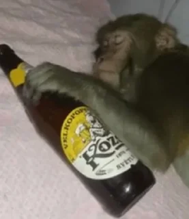 🍺