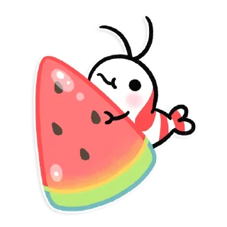 🍉