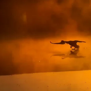🏃