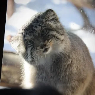👀