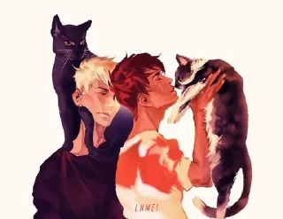 🐱