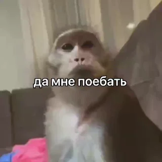 💤