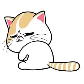 🐱