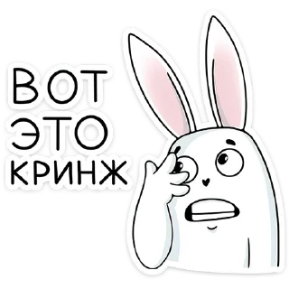 🐰