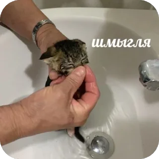 🤧