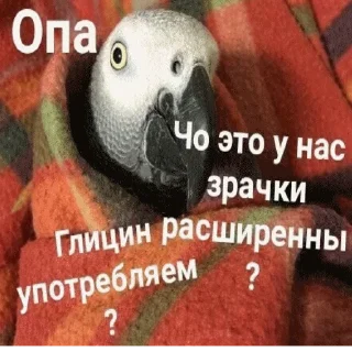 🤨