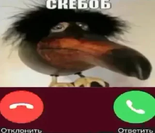 📞
