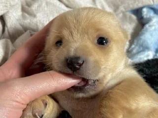 😋