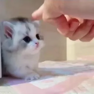 ❤️‍🩹