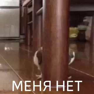 🙈