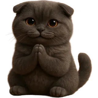 🙏