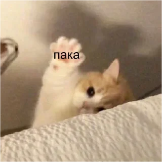 🤝