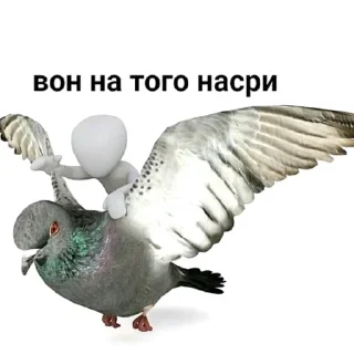 🕊