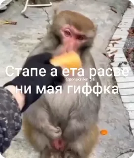 🌟