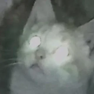 👿
