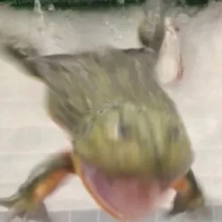 😠