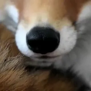 😋