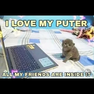 💻