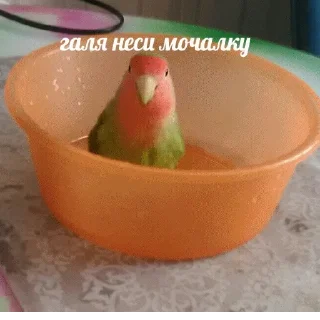 🛁