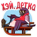 😎
