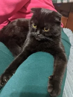 😳