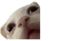😧