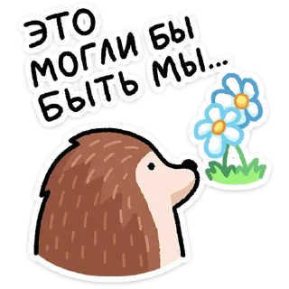 🌼