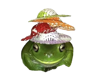 🐸