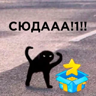 🥳