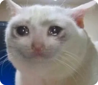 😢