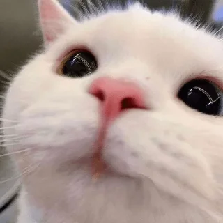 😍