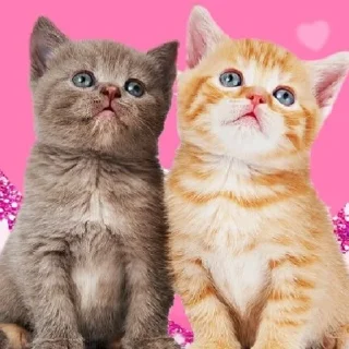 💕