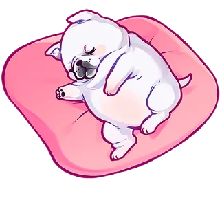 😴