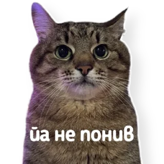😐