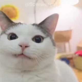🕺