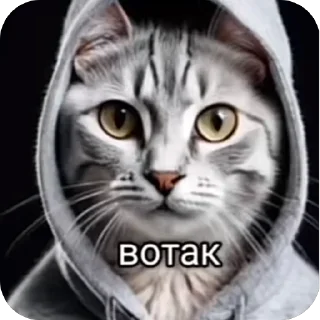 🫥